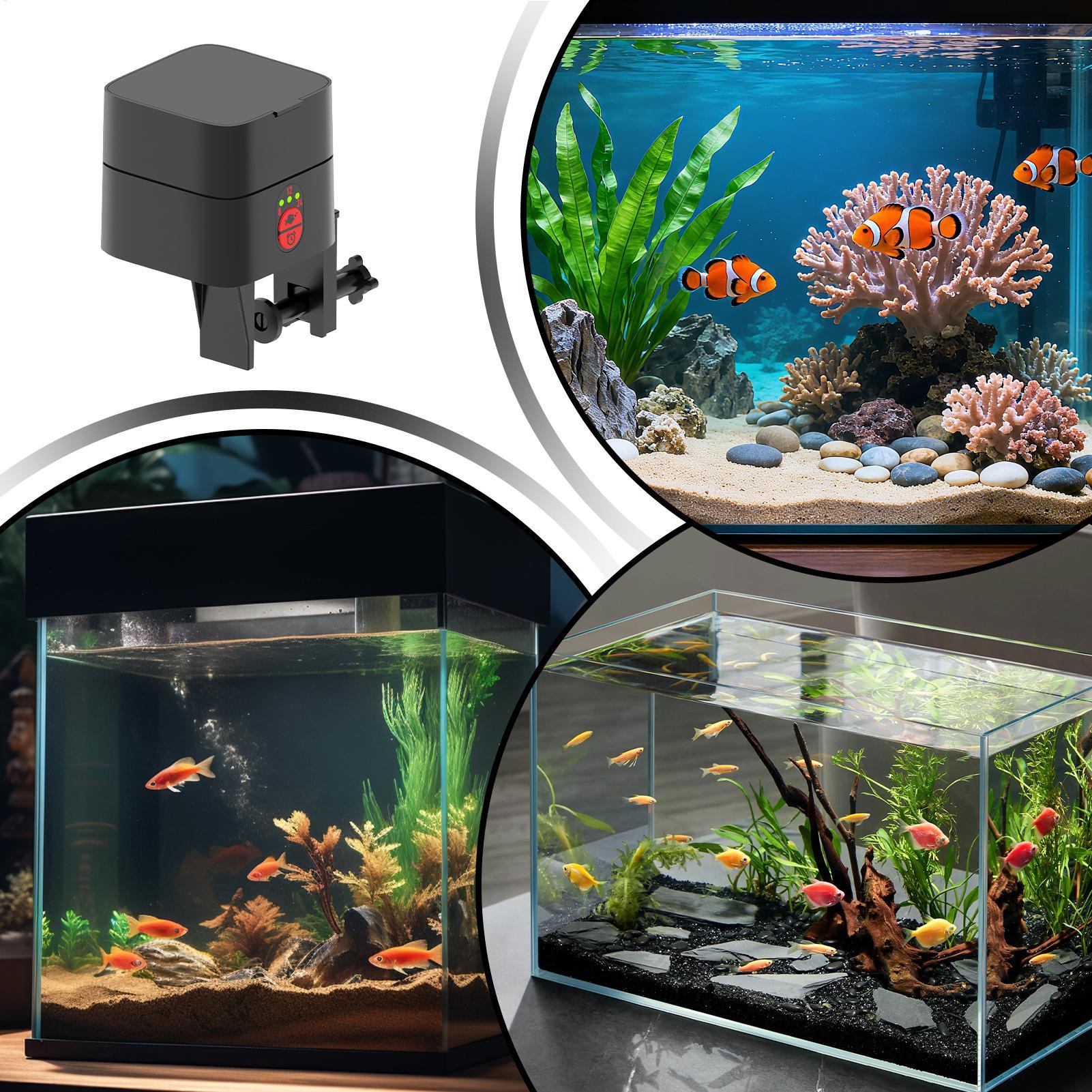 Aquarium Fish Auto Feeder - Distributore Automatico di Cibo per Pesci