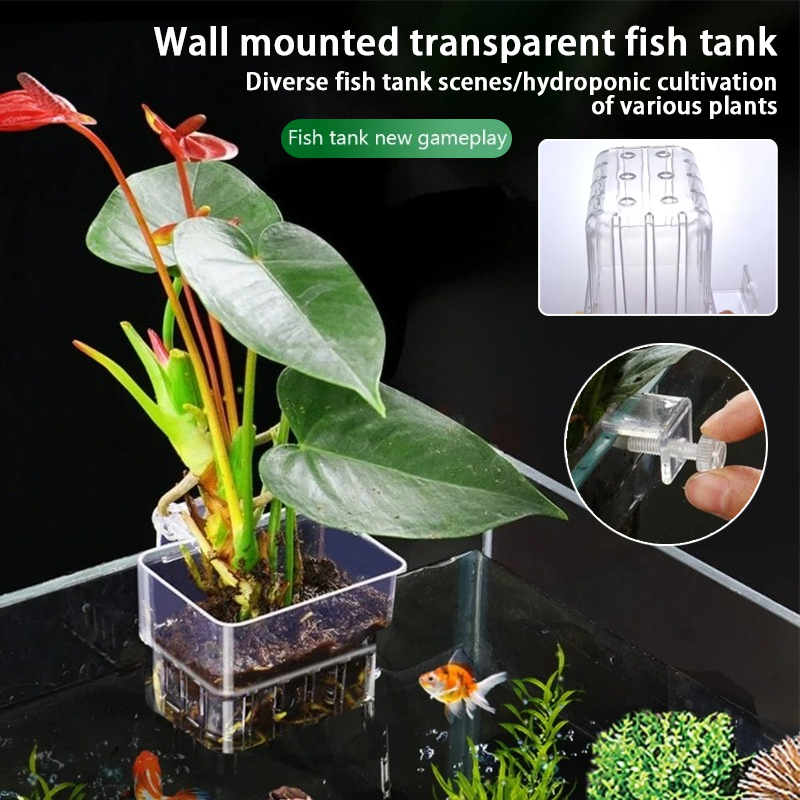 Aquarium Fish Background - Vasi pensili per acquario, supporti a