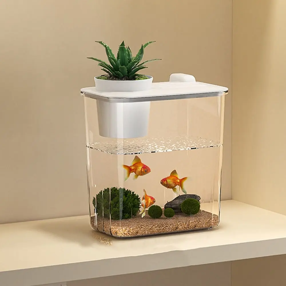 Acquario da Tavolo con Pompa d - Fish Toy In Aquarium recensione e prezzo
