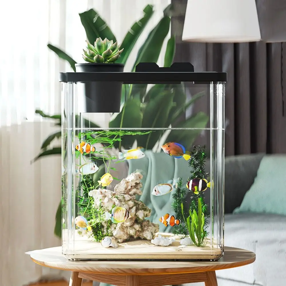 Acquario da Tavolo con Pompa d - Fish Toy In Aquarium recensione e prezzo