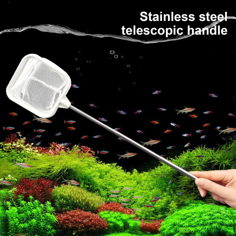 Rete per acquario da 20-46 cm  - Fish Net Handle recensione e prezzo