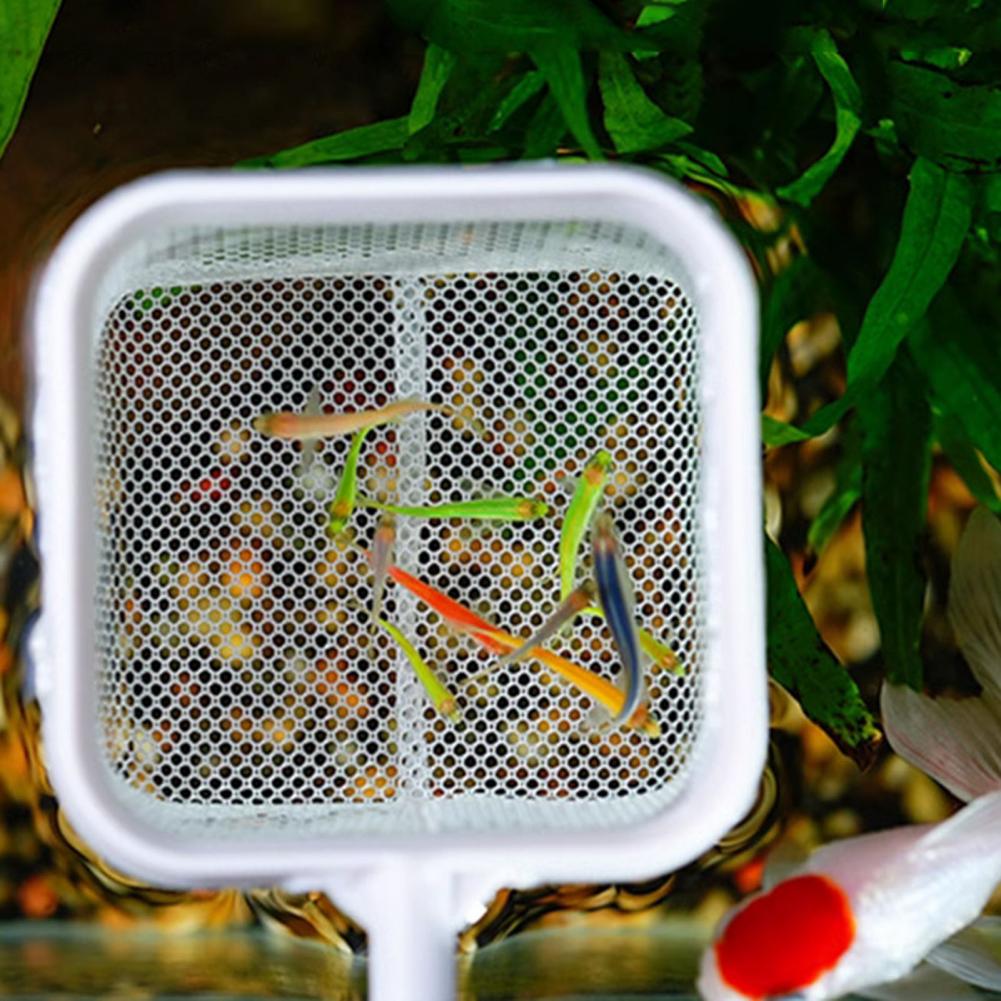Rete per acquario da 20-46 cm  - Fish Net Handle recensione e prezzo