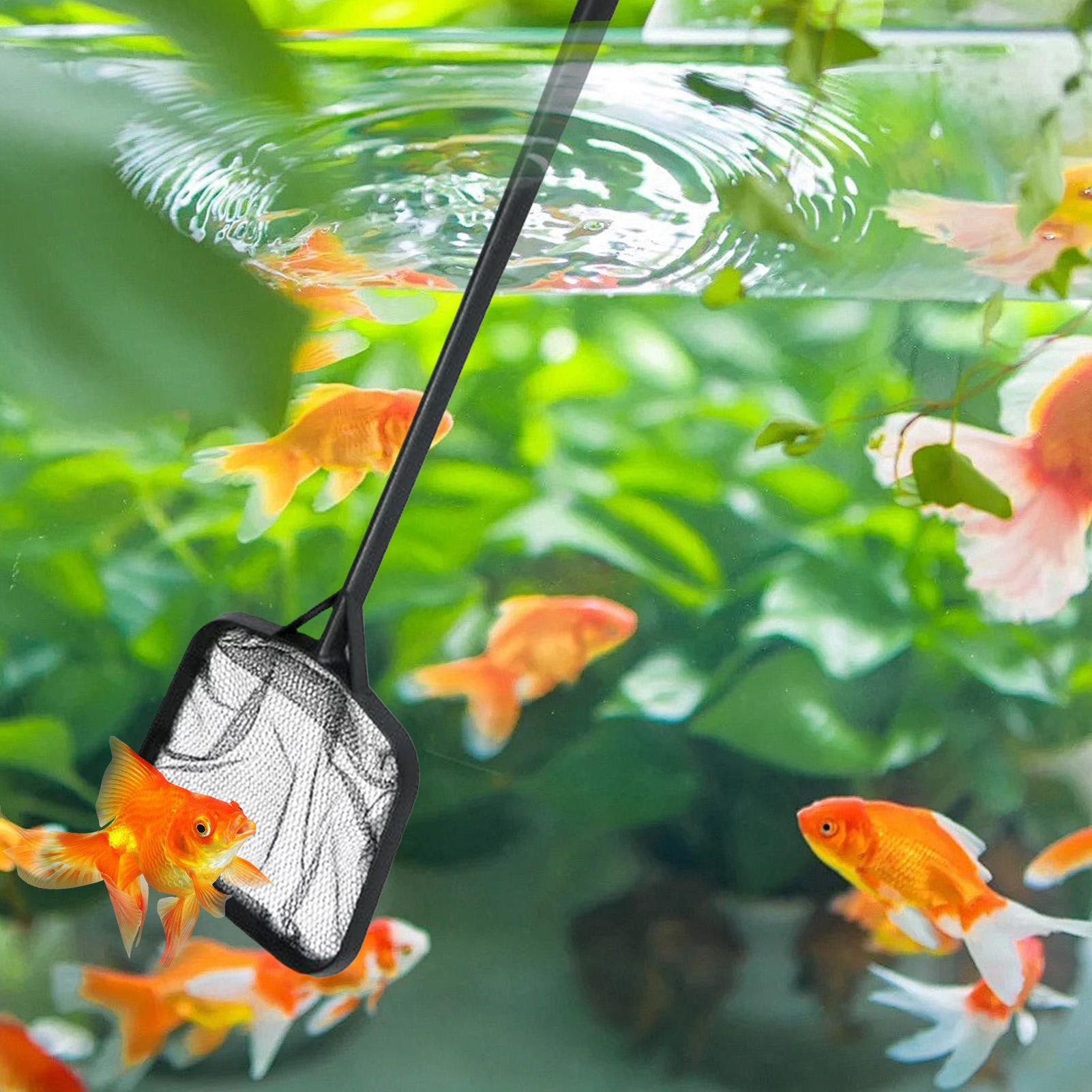 Reti per la Pulizia della Pisc - Aquarium Fish Care recensione e prezzo