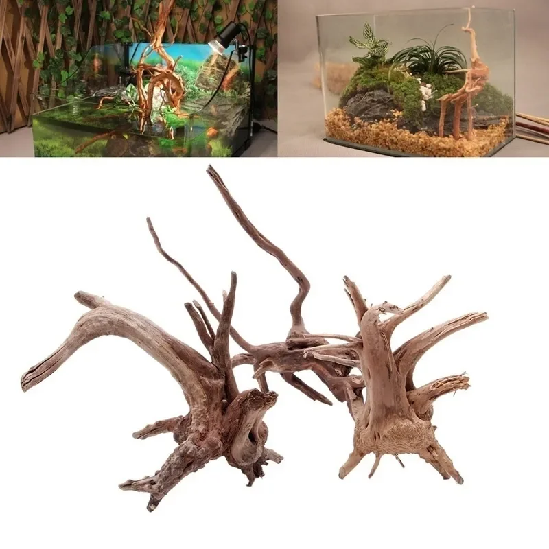 Tronco d'albero naturale Drift - Aquarium Fish For Sale Online recensione e prezzo