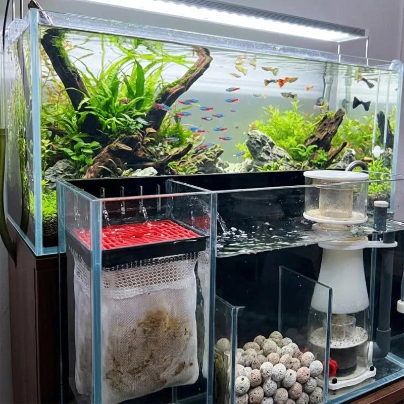 Filtro per Acquario a Sacchett - Aquarium Fish Background recensione e prezzo