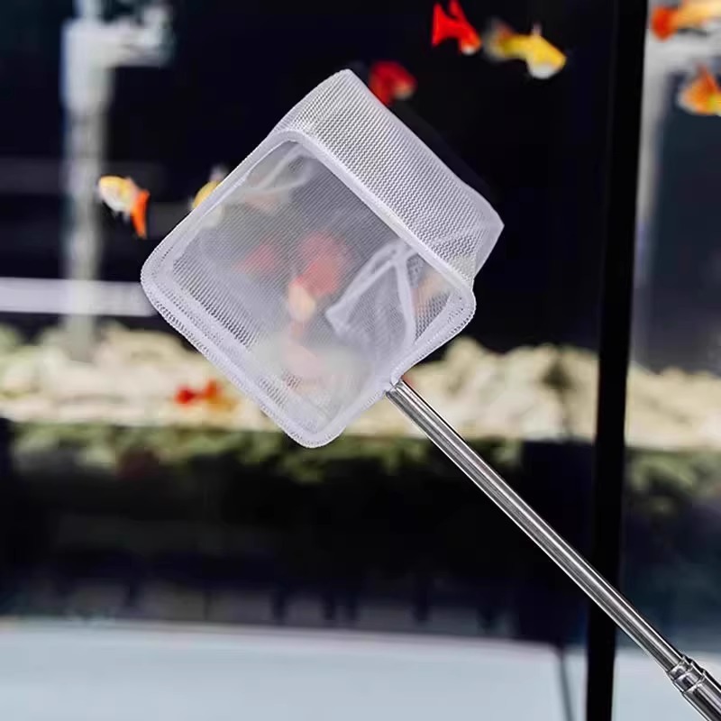 Rete da pesca quadrata per acq - Fish Net Handle recensione e prezzo