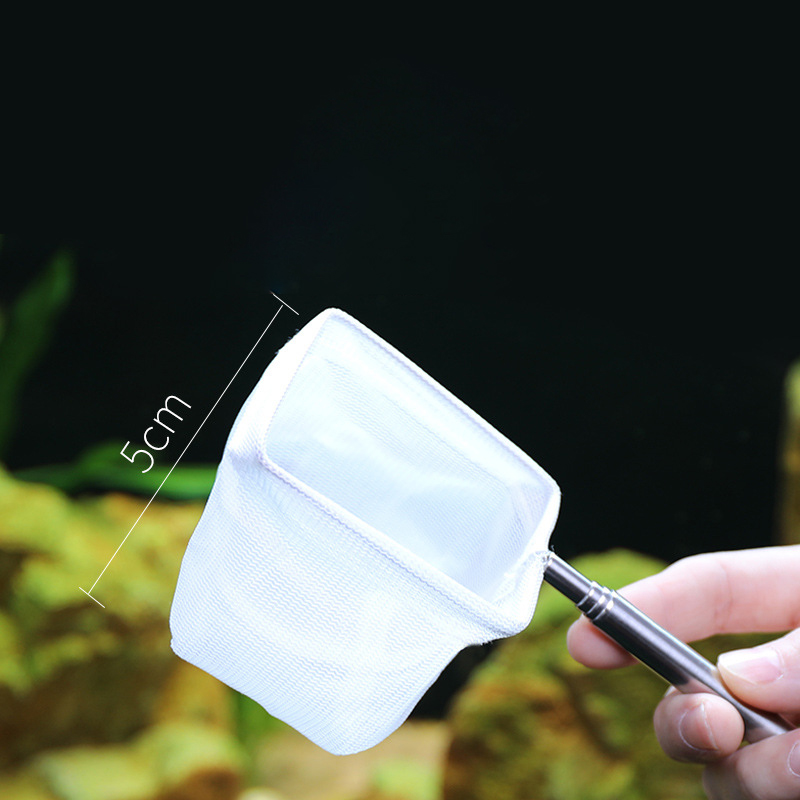 Rete da pesca quadrata per acq - Fish Net Handle recensione e prezzo