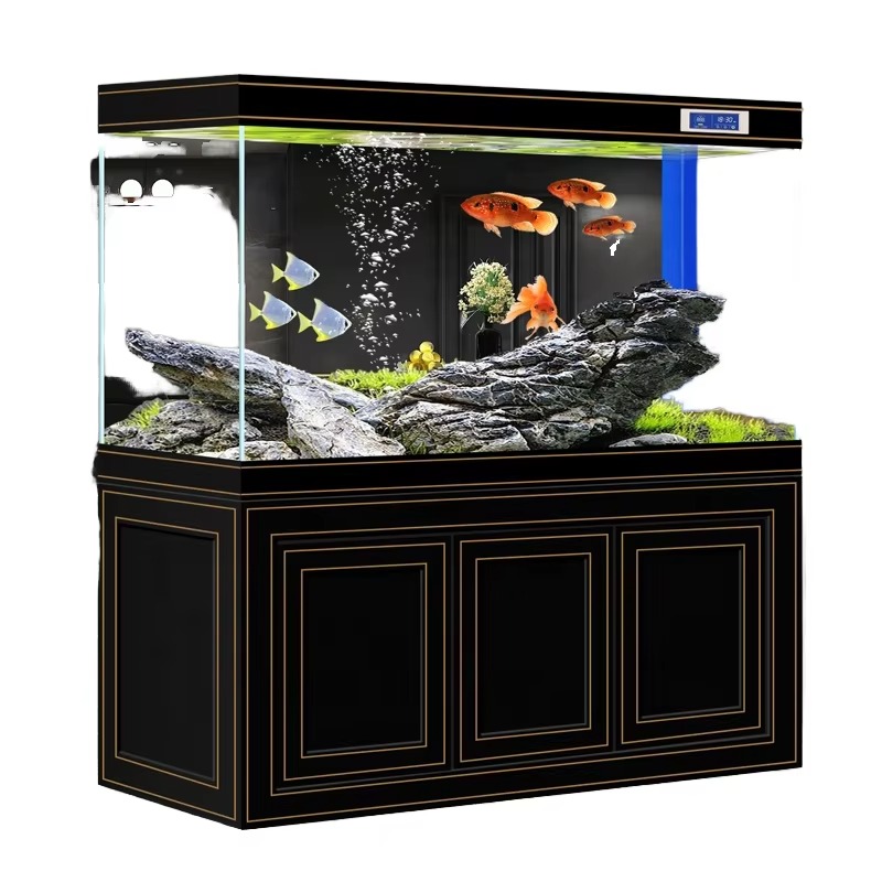 Acquario da Soggiorno in Vetro - Aquarium Fish Dragon recensione e prezzo