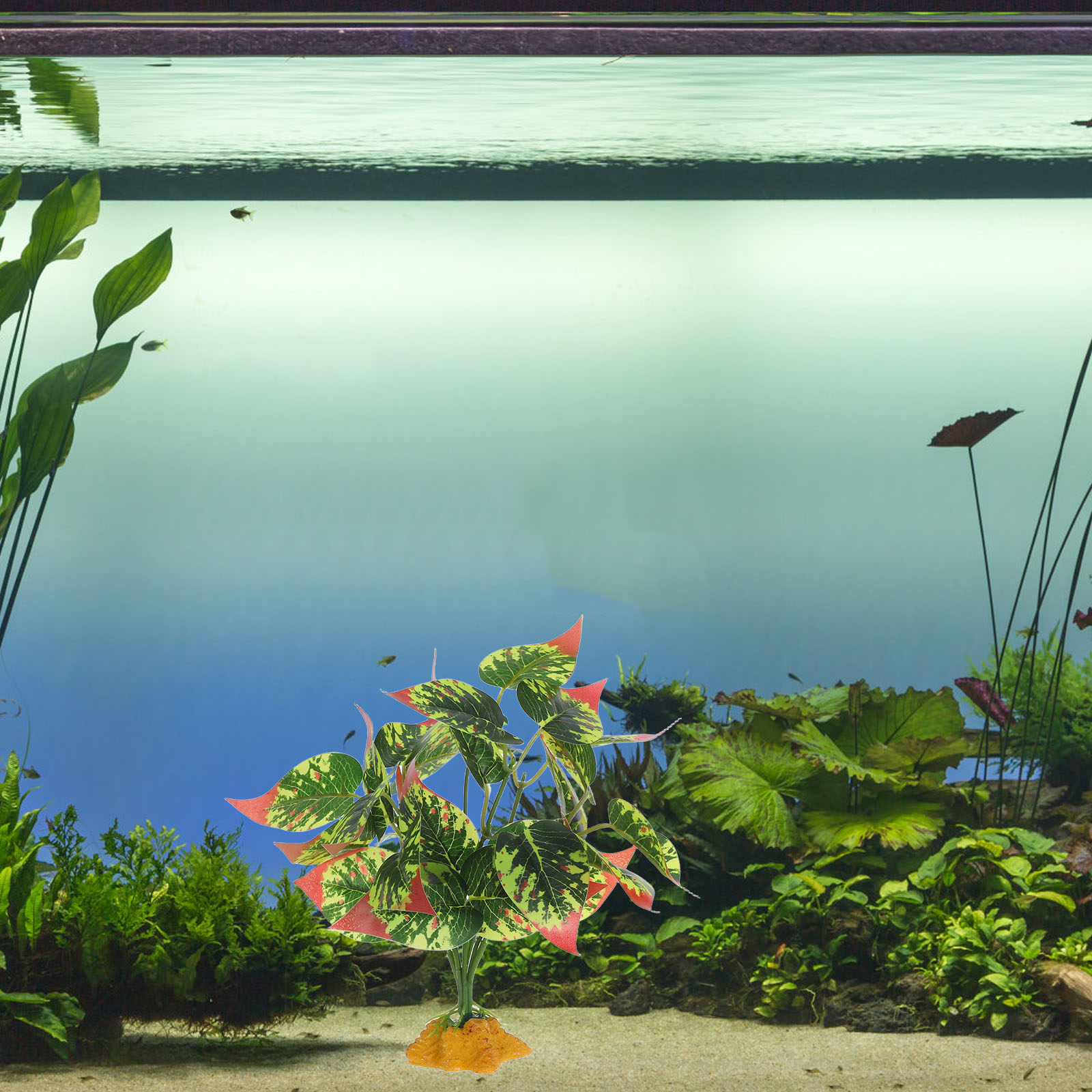 Piante Artificiali in ABS Real - Aquarium Fish Dragon recensione e prezzo