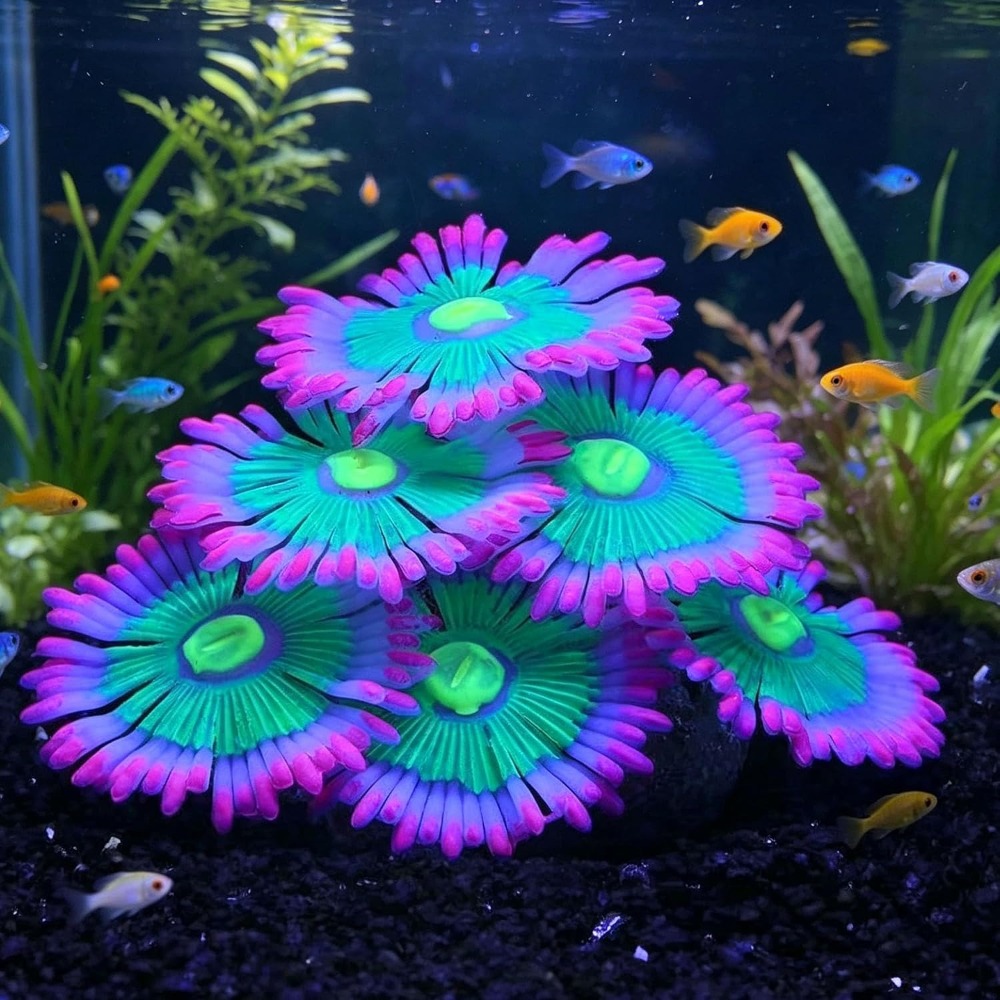 Decorazioni Luminose per Acqua - Aquarium Fish For Sale Online recensione e prezzo