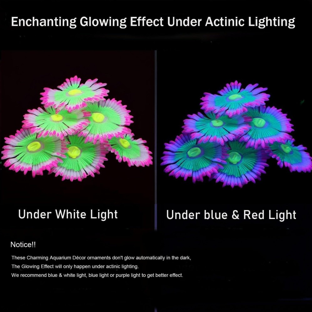 Decorazioni Luminose per Acqua - Aquarium Fish For Sale Online recensione e prezzo