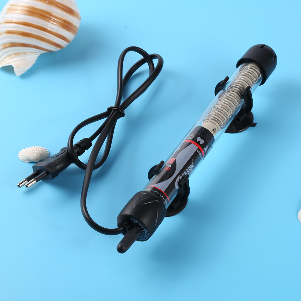 Acquario E136 per Pesci Drago, - Aquarium Fish Dragon recensione e prezzo