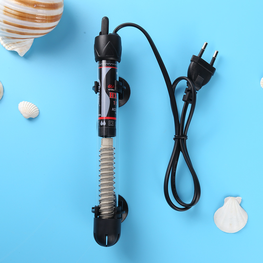 Acquario E136 per Pesci Drago, - Aquarium Fish Dragon recensione e prezzo