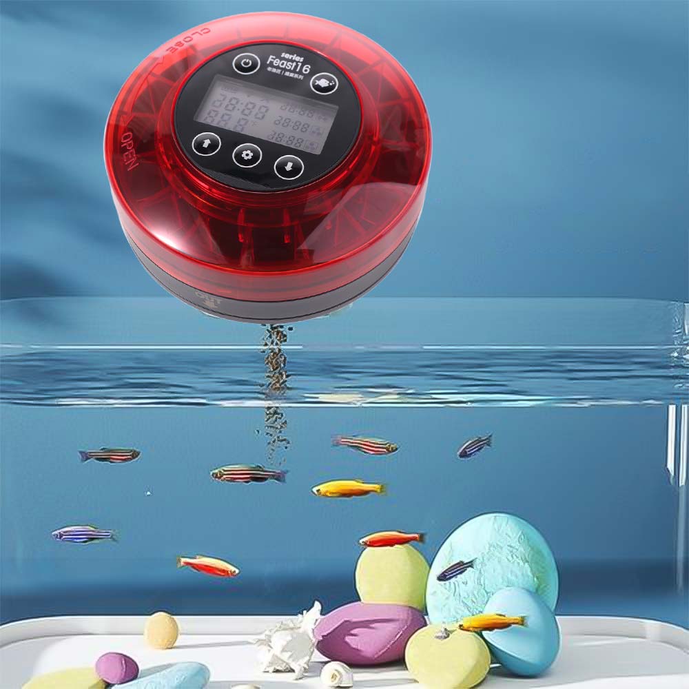 Dispenser Automatico di Cibo p - Aquarium Fish Auto Feeder recensione e prezzo