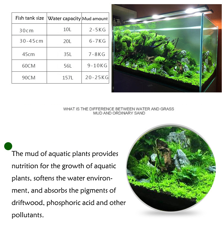 Acquario semi di piante terren - Aquarium Fish Care recensione e prezzo
