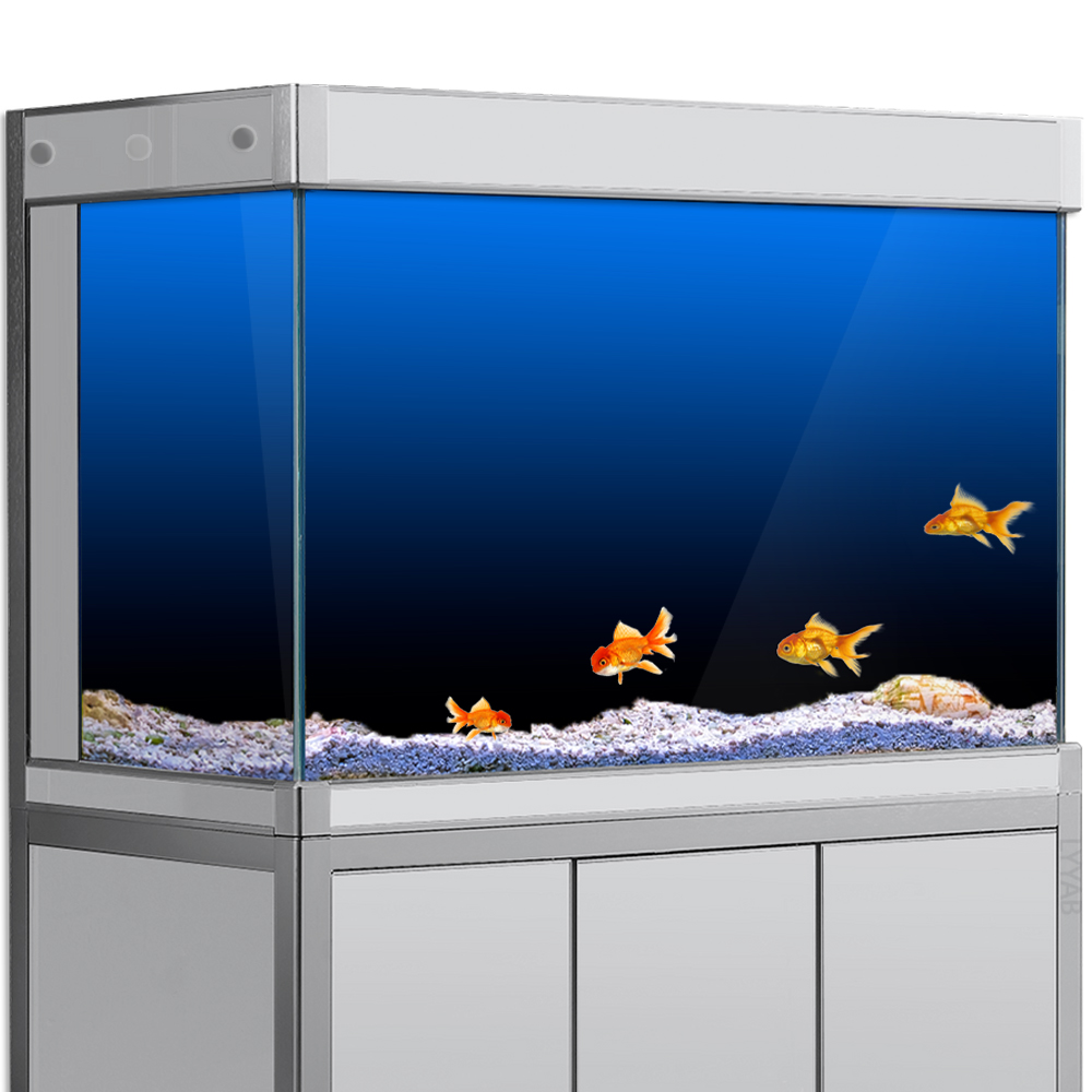 Adesivo per sfondo acquario Ne - Aquarium Fish Background recensione e prezzo
