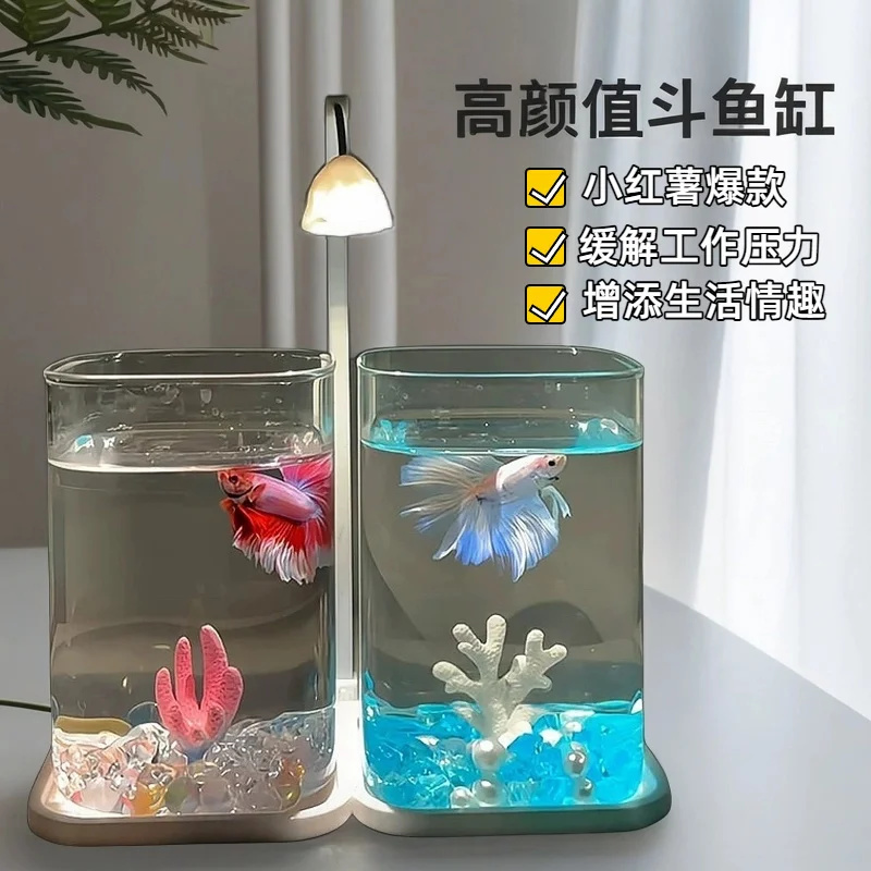 Mini acquario da tavolo in vet - Fish Toy In Aquarium recensione e prezzo