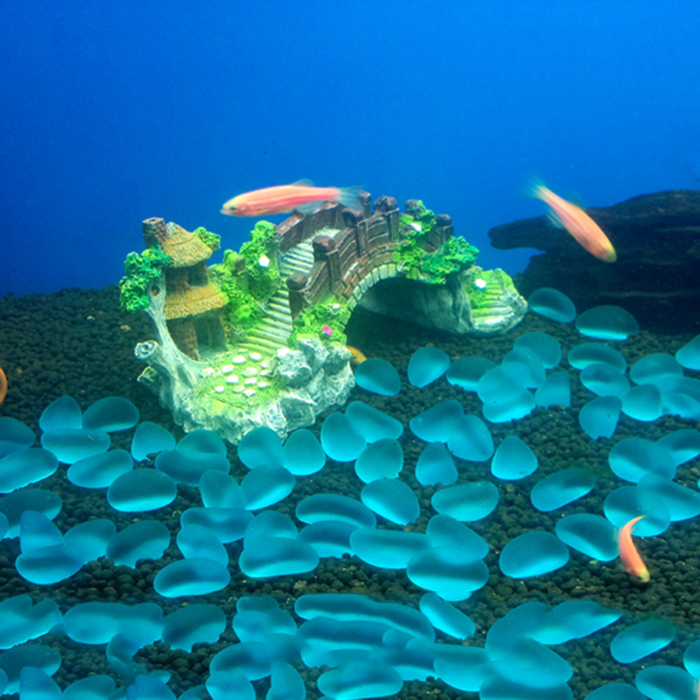 Accessori per acquari Albero p - Aquarium Fish For Sale Online recensione e prezzo