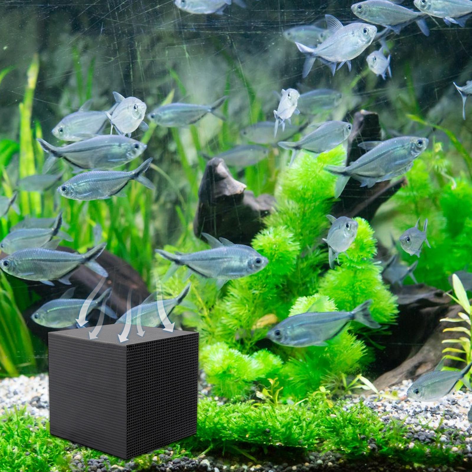 Cubo Purificatore d'Acqua per  - Aquarium Fish Background recensione e prezzo