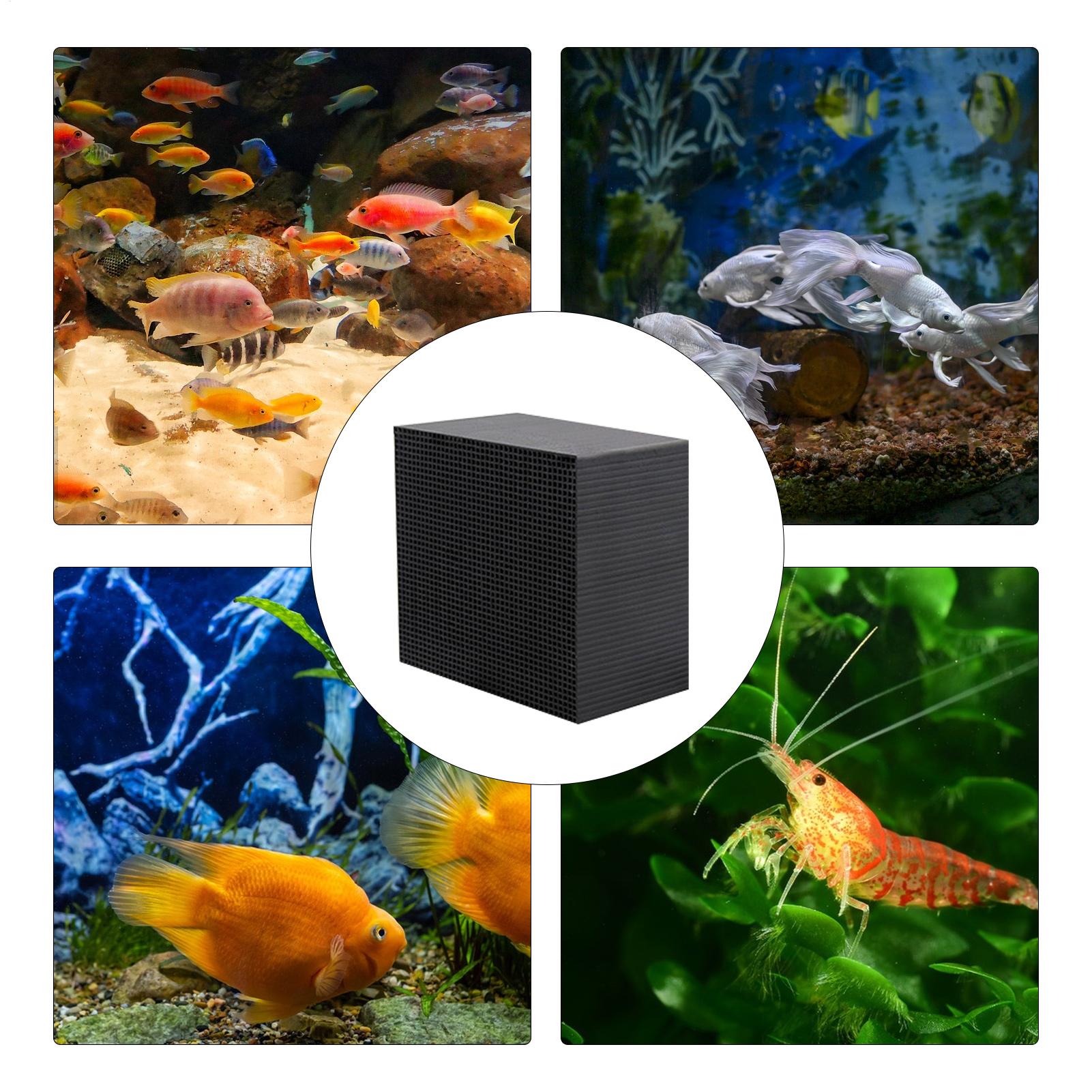 Cubo Purificatore d'Acqua per  - Aquarium Fish Background recensione e prezzo