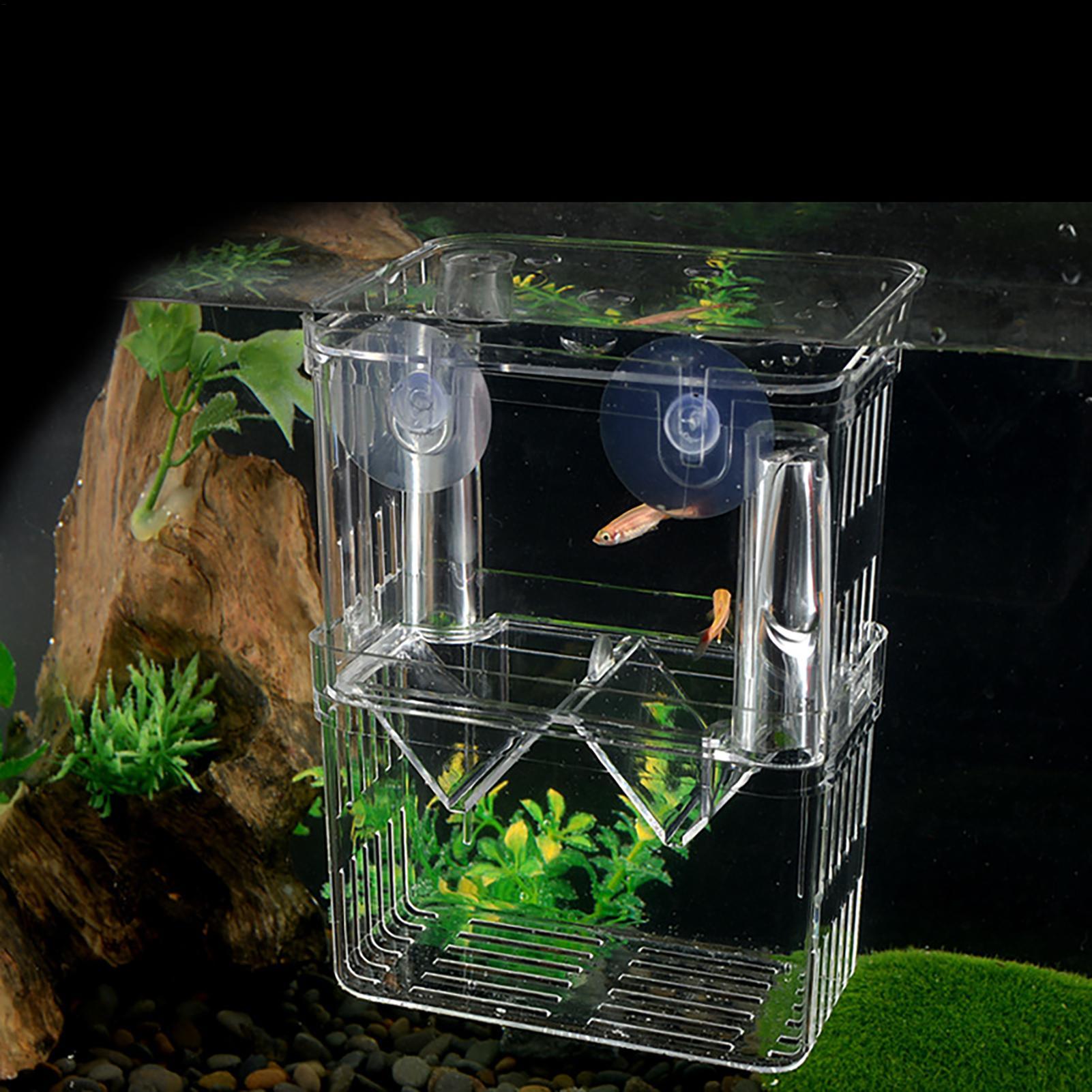 Box per Allevamento Pesci, Sca - Fish Toy In Aquarium recensione e prezzo