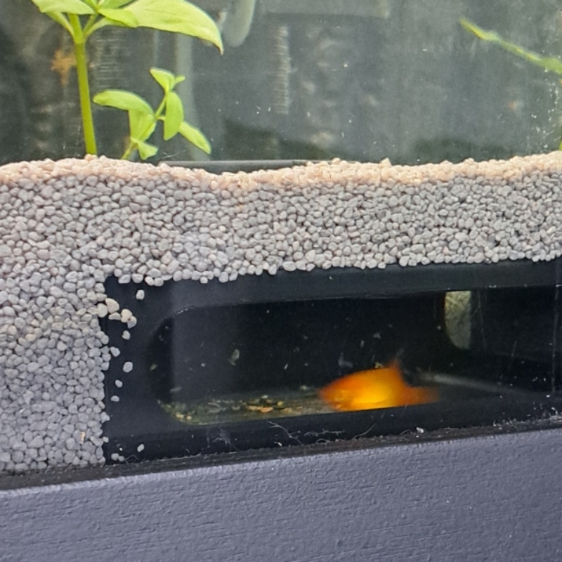 Decorazione per acquario a sem - Aquarium Fish Paradise recensione e prezzo