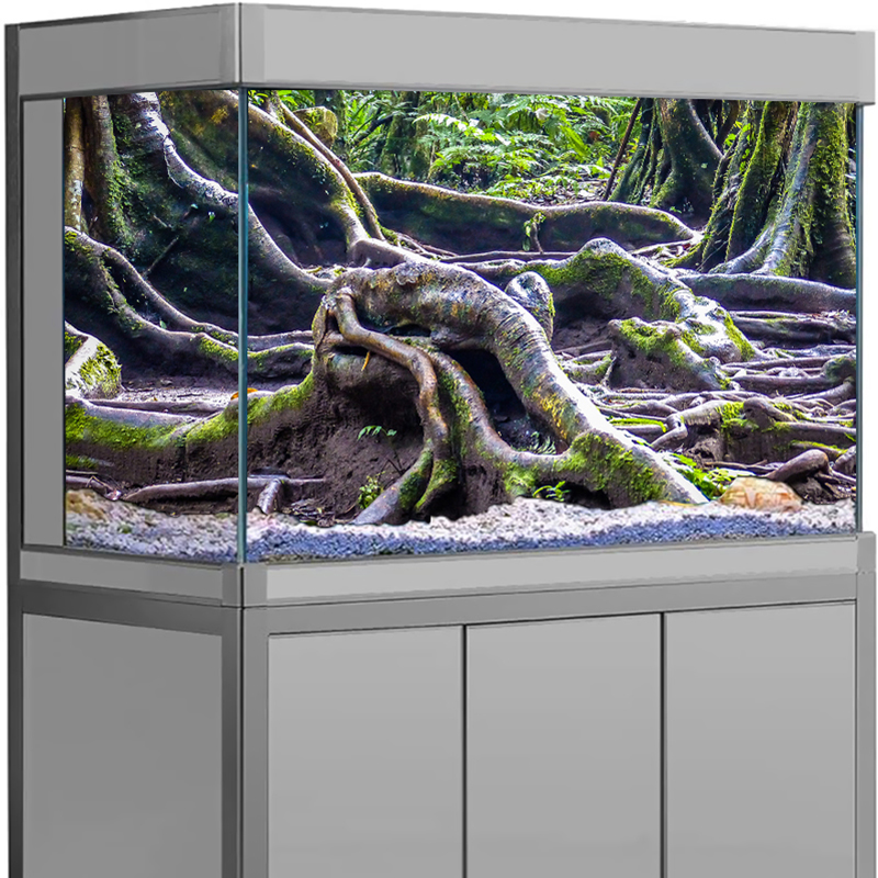 Decorazione per Acquario, Ades - Aquarium Fish For Sale Online recensione e prezzo
