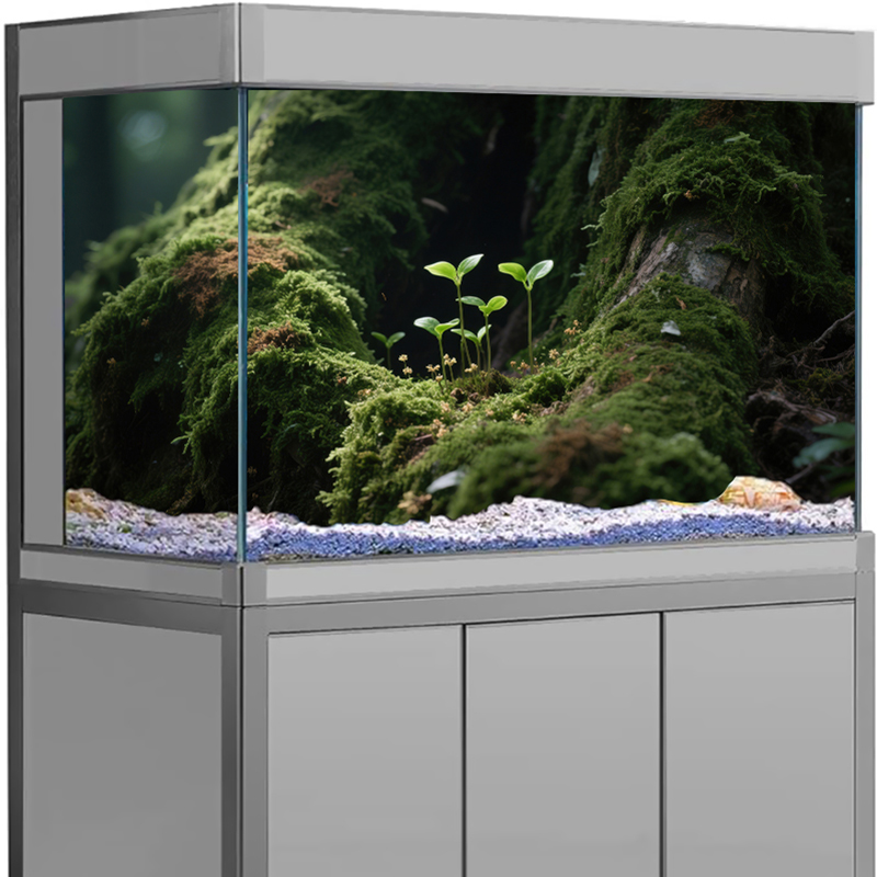 Decorazione per Acquario, Ades - Aquarium Fish For Sale Online recensione e prezzo