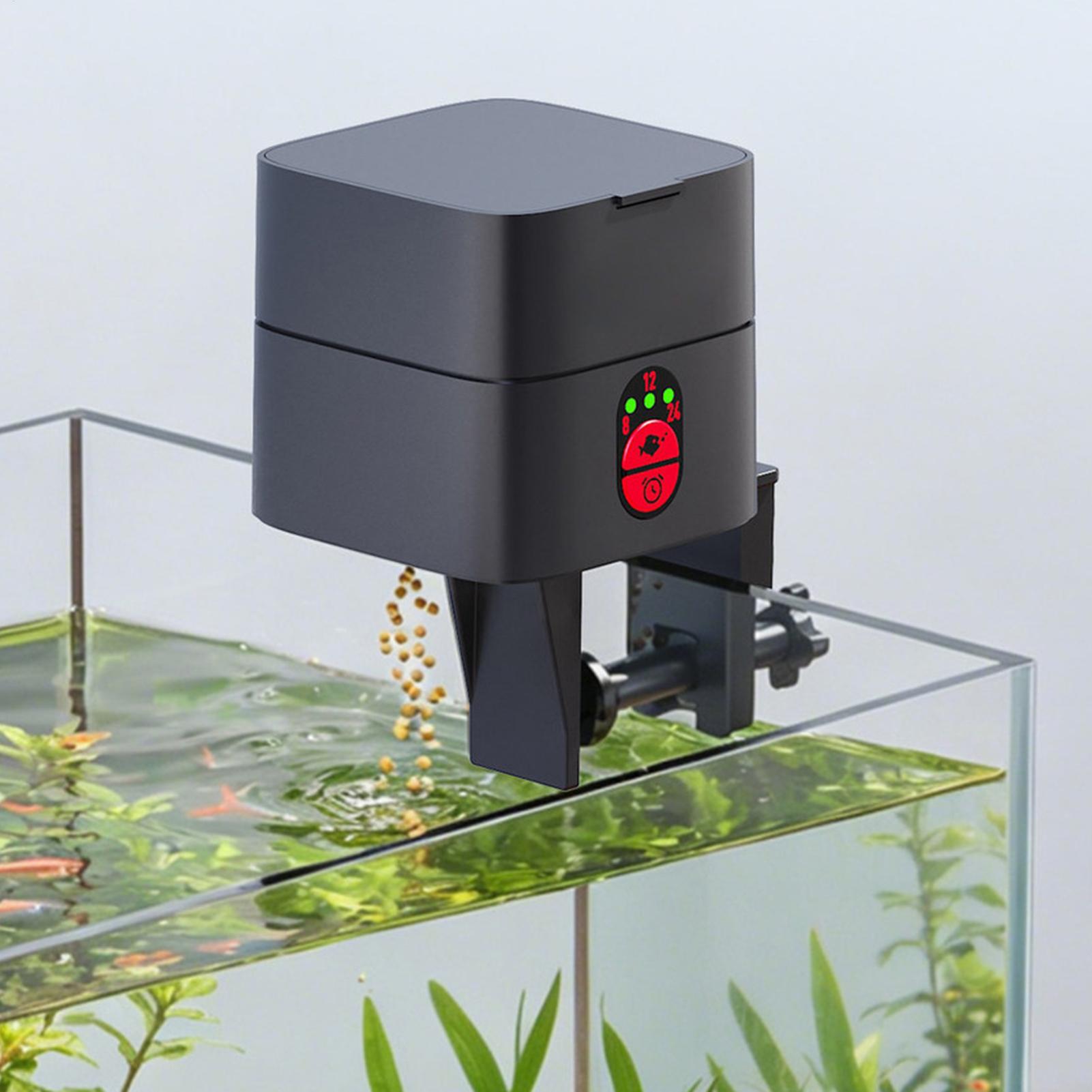 Distributore Automatico di Cib - Fish Toy In Aquarium recensione e prezzo