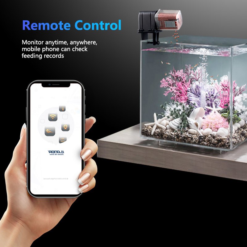 Alimentatore per pesci WiFi in - Aquarium Fish Auto Feeder recensione e prezzo