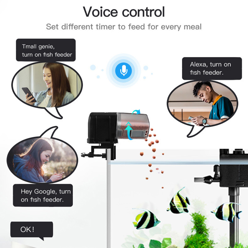 Alimentatore per pesci WiFi in - Aquarium Fish Auto Feeder recensione e prezzo