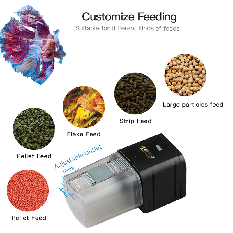 Alimentatore per pesci WiFi in - Aquarium Fish Auto Feeder recensione e prezzo