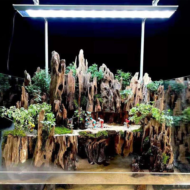 △   Decorazione per acquario i - Aquarium Fish For Sale Online recensione e prezzo
